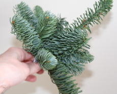 もみの木で手作りするミニクリスマスツリー　材料・作り方