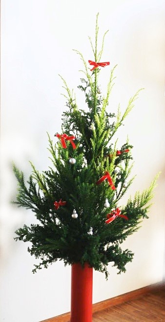 雪冠杉とヒムロ杉を材料に作るクリスマスツリー