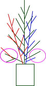 紙コップに雪冠杉を挿すだけのクリスマスツリー　材料・作り方