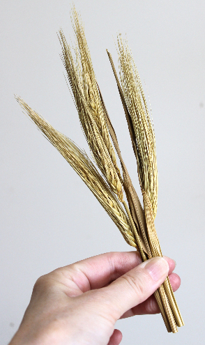 麦とパンパスのリースの作り方・材料