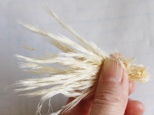 パンパスグラスで作るクリスマスツリー 2種類(作り方・材料)