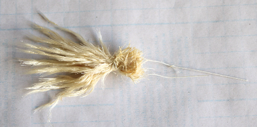 パンパスグラスで作るクリスマスツリー 2種類(作り方・材料)