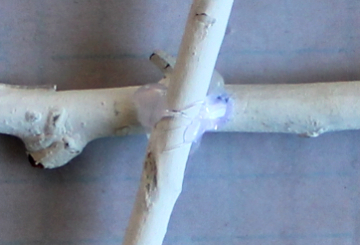 星形クリスマスリースの作り方・材料