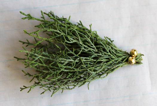 コニファーの小枝と大豆で作る超ミニクリスマスツリー(作り方・材料)