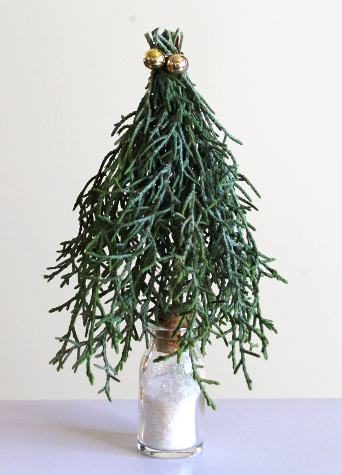 コニファーの小枝と大豆で作る超ミニクリスマスツリー(作り方・材料)