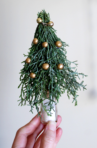 コニファーの小枝と大豆で作る超ミニクリスマスツリー(作り方・材料)