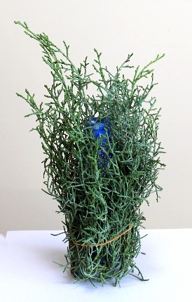 飾り紐でコニファーを巻くだけで作るミニクリスマスツリー（作り方・材料）