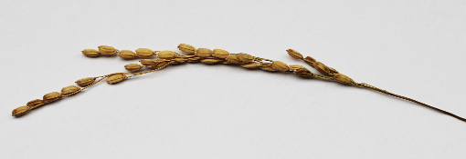 超ミニお正月飾り風リース（作り方・材料）