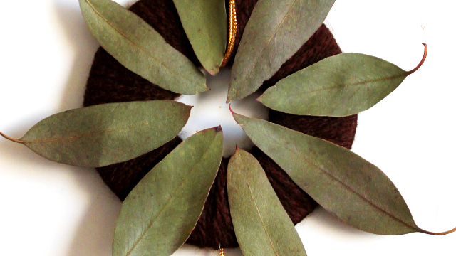 ユーカリの葉のミニリースの作り方・材料