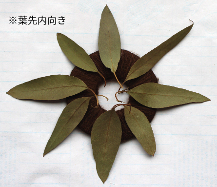 ユーカリの葉のミニリースの作り方・材料