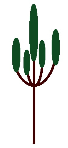 松のお正月スワッグ（作り方・材料）