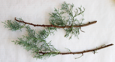 超ミニキャンドルアレンジメント（作り方・材料）