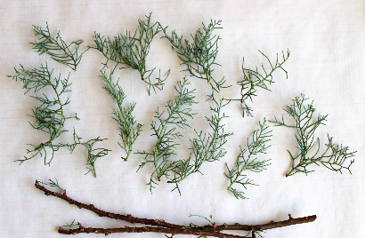 超ミニキャンドルアレンジメント（作り方・材料）