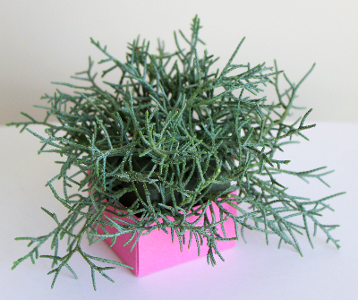 超ミニキャンドルアレンジメント（作り方・材料）