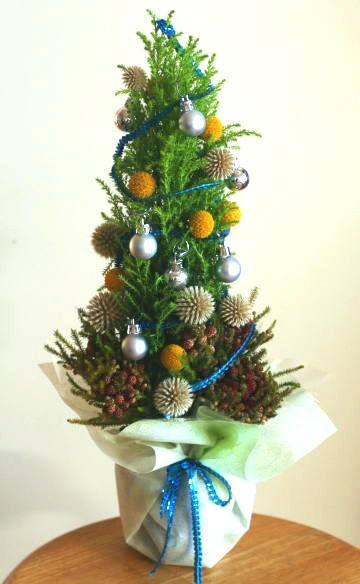 小さなゴールドクレストを飾り付けてクリスマスツリーにする 作り方 材料