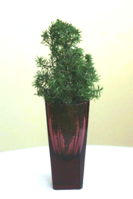ヒムロスギを材料に作る小さなクリスマスツリー　材料・作り方