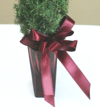 ヒムロスギを材料に作る小さなクリスマスツリー　材料・作り方