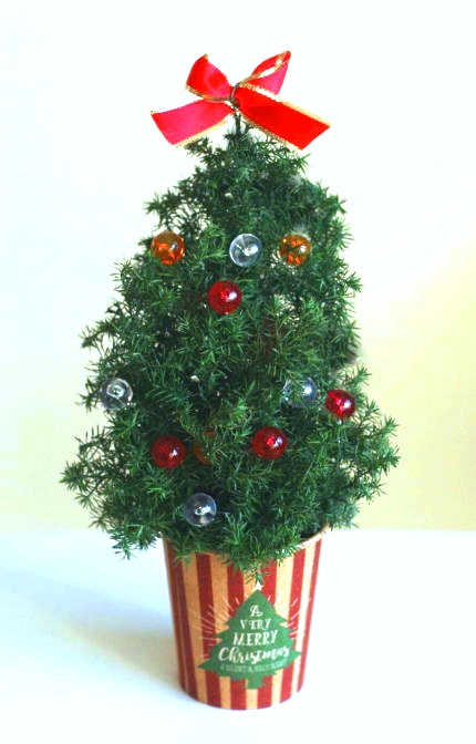 ボールオーナメントのミニクリスマスツリー（材料：ヒムロスギ）