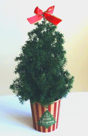 ボールオーナメントのミニクリスマスツリー（材料：ヒムロスギ）