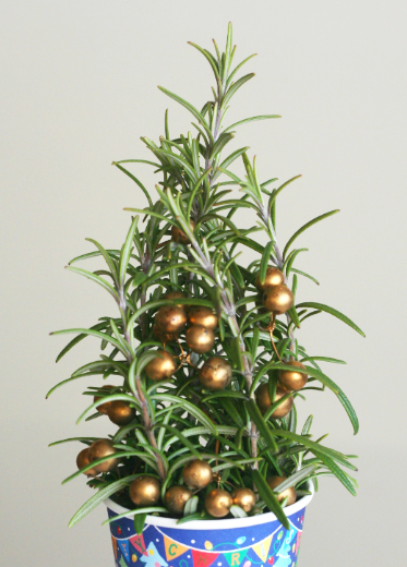 ローズマリーで作るクリスマスツリー（ドライタイプ2種類）