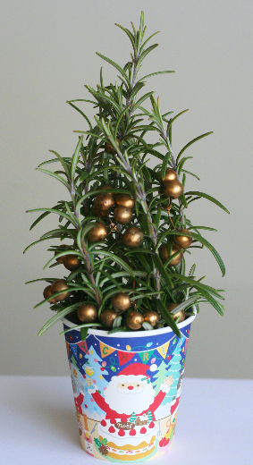 ローズマリーで作るクリスマスツリー（ドライタイプ2種類）