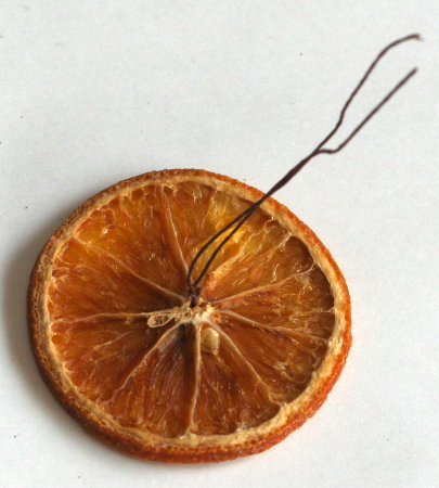 ユーカリとオレンジのハロウィンリース