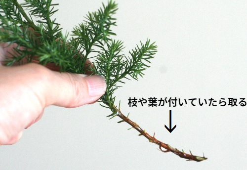 クリスマスツリーアレンジメント（ドライ・2種類）