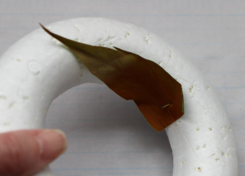 グレヴィリアゴールドのリース：ピンで固定するタイプ　作り方・材料