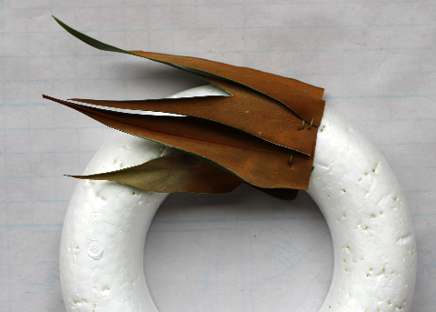 グレヴィリアゴールドのリース：ピンで固定するタイプ　作り方・材料