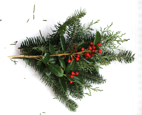 もみの木・コニファー・柊のクリスマススワッグ（作り方・材料）