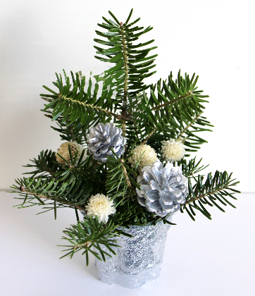 プリンカップにもみの木を立てたミニクリスマスツリー（作り方・材料）