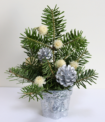 プリンカップにもみの木を立てたミニクリスマスツリー（作り方・材料）
