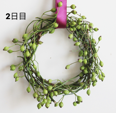 野ばらを丸めただけのミニリースの作り方・材料