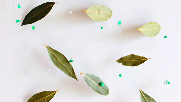 ローリエの涼しそうな壁飾り(作り方・材料)