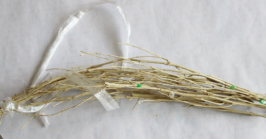 ローリエの涼しそうな壁飾り(作り方・材料)