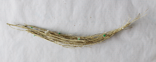 ローリエの涼しそうな壁飾り(作り方・材料)