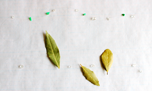 ローリエの涼しそうな壁飾り(作り方・材料)