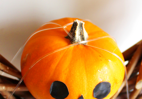 ハロウィンかぼちゃとユーカリのリースの作り方・材料