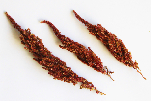 ケイトウのミニリースの作り方・材料