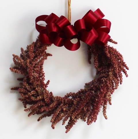 ケイトウのミニリース