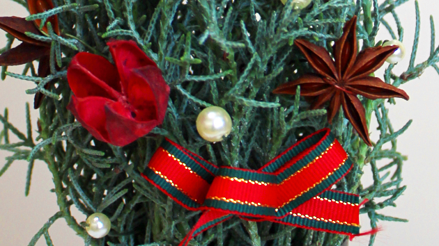 ブルーアイス(コニファー)1本で作ったミニクリスマスツリー:作り方・材料