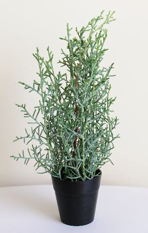 ブルーアイス(コニファー)1本で作ったミニクリスマスツリー:作り方・材料