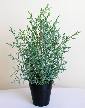 ブルーアイス(コニファー)1本で作ったミニクリスマスツリー:作り方・材料