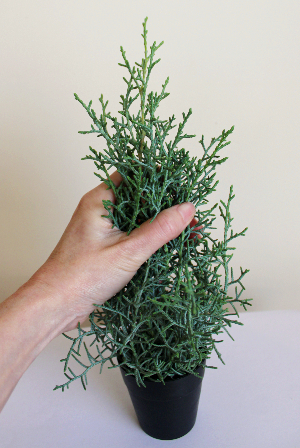 ブルーアイス(コニファー)1本で作ったミニクリスマスツリー:作り方・材料