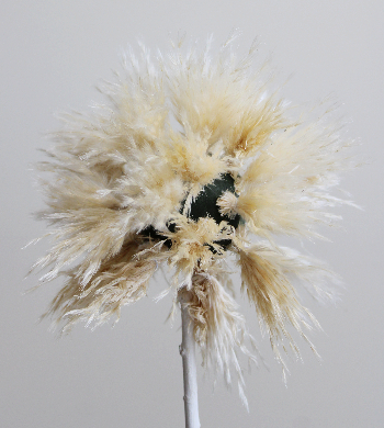 パンパスとリンゴのトピアリ（作り方・材料）