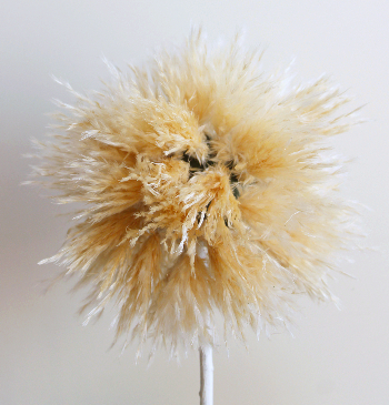 パンパスとリンゴのトピアリ（作り方・材料）