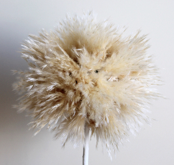 パンパスとリンゴのトピアリ（作り方・材料）