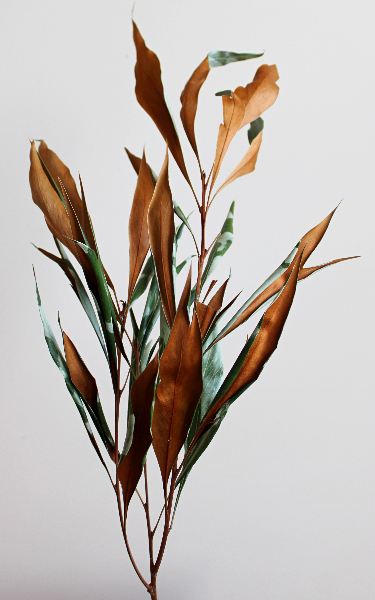 グレヴィリアゴールドのリース：ピンで固定するタイプ　作り方・材料